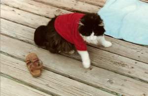 received_293858654563192